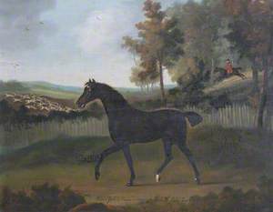 'Silver Jack' (a Hunter), Belonging to Sir John William De la Pole, Bt