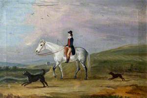 A Young Rider on a Grey Horse and Two Dogs