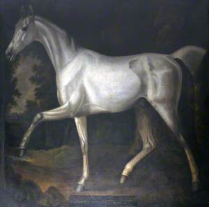 'Grey Bisten', Property of Sir John William De la Pole, Bt