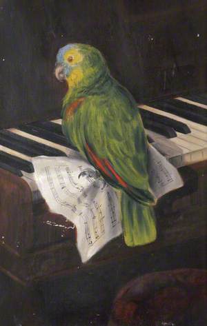 'Polly' the Parrot, Sitting on a Music Score on the Keys of a Piano