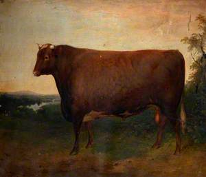 'Weathercock', a Champion Bull, Winner of Second Prize of £20 in Class 1 of the RA Society in 1850, at 2 Years and 9 Months