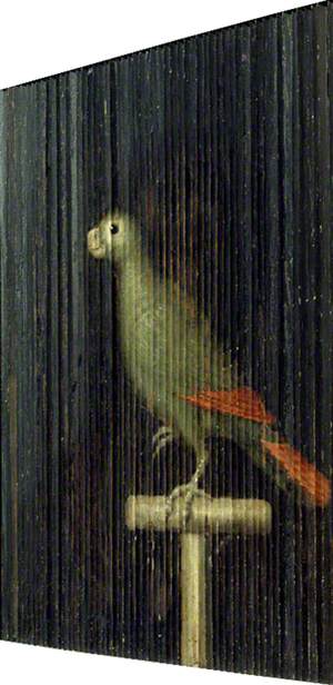 A Two-Way Painting of a Lady, and of a Parrot on a Branch