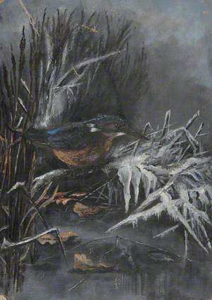 A Kingfisher in Reeds