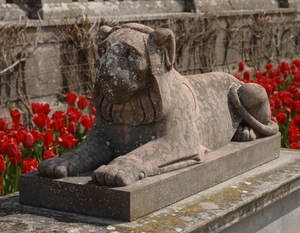 Recumbent Lion