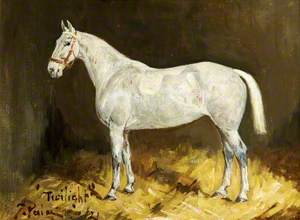 A Grey Mare, 'Twilight'