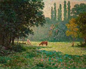 A Meadow with Two Cows