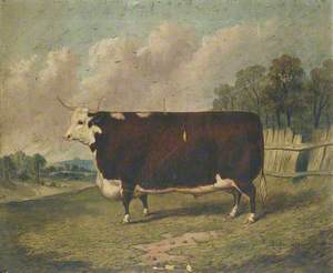 A Prize Cow in a Landscape