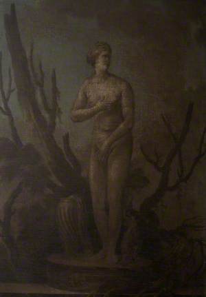 The Venus de' Medici among Dead Trees