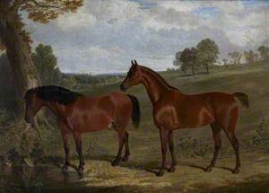 A Bay Horse and a Pony in a Landscape