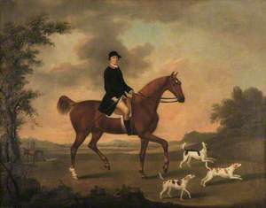 Noel Hill (1745–1789), 1st Lord Berwick (?), on a Horse, with Hounds