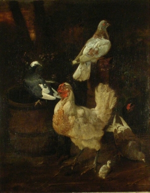 Hens and Pigeons and a Wooden Pail