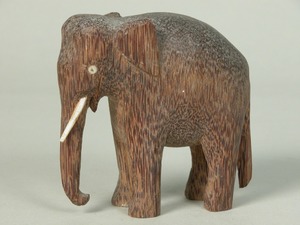 An Elephant