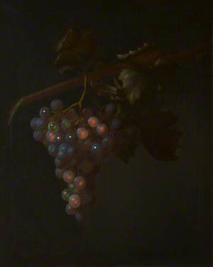 A Bunch of Grapes