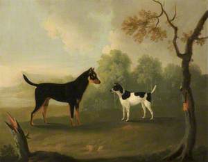 Two Dogs Facing One Another in a Landscape