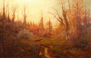 Woodland Scene with a Stream and Daffodils