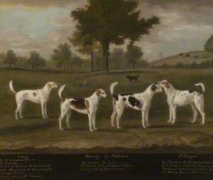 Two Couple of Foxhounds in a Park Landscape with Two Terriers