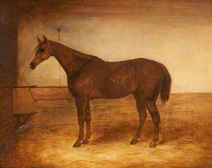 A Chestnut Hunter in a Stable
