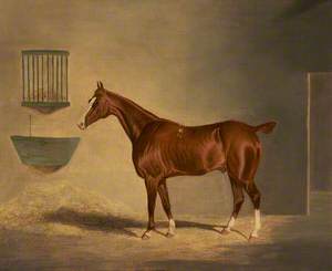 A Chestnut Horse in a Stable
