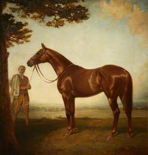 'Corcyra', a Chestnut Racehorse with its Groom in a Landscape