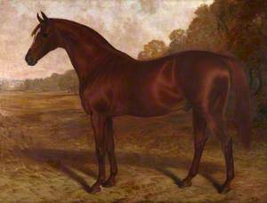 'Hermit', A Bay Racehorse in a Landscape