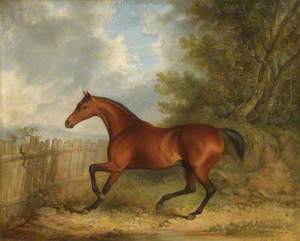 'Selim', the Marquess of Londonderry's Bay Hunter in a Landscape