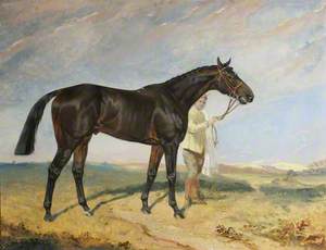 'Columcille', a Dark Bay Racehorse, Held by a Groom in a Landscape