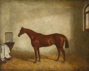 'Hermit', Winner of the 1867 Derby, in a Stable