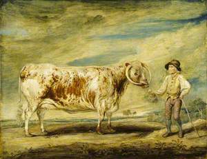 Jerry Hudson, a Farm Labourer, with a Longhorn Cow
