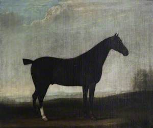 A Brown Horse in a Landscape