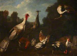 A Turkey, Peacocks and Chickens in a Landscape