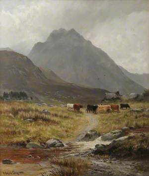 Trefan (Highland Cattle in a Glen)