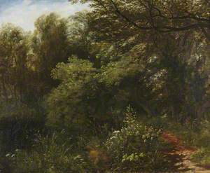 A Woodland Path by a River with a Dog