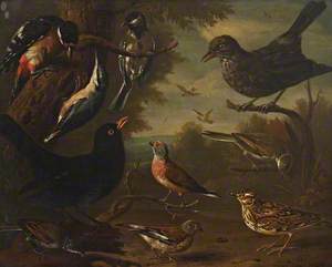 British Birds: Hen Blackbird; Great Tit; Nuthatch; Great Spotted Woodpecker; Cock Whitethroat; Cock Linnet; Cock Blackbird; Woodlark; Hen Linnet; and a Hen Whitethroat