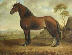 A Carthorse in a Landscape