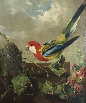 Parakeet with Grapes and Hollyhocks