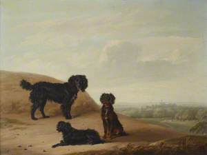 Three Sporting Dogs in a Landscape, with a Distant View of Windsor Castle