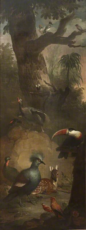 Roe Deer, a Marmoset, a Toucan and other Birds