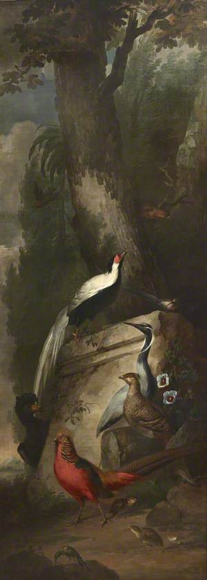Red, Gold and Silver Pheasants and a Crane