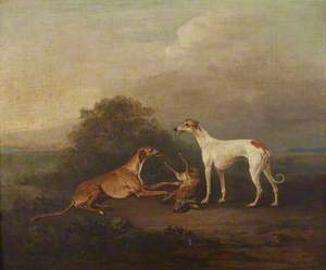Two Greyhounds and a Dead Hare