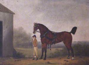 A Boy Leading a Horse