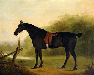 A Saddled Black Hunter in a Landscape