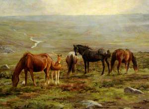 Horses Grazing on Moorland