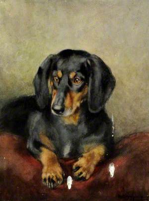 A Black and Tan Dachshund