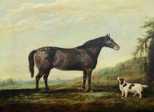 'Mouse', a Grey Pony, and a Spaniel in a Landscape