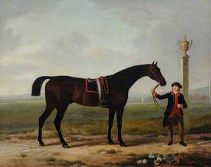 'Juniper', a Bay Racehorse, Held by a Groom, Probably on Doncaster Racecourse, with the 1774 Doncaster Gold Cup Displayed