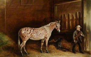 A Strawberry Roan Mule and Two Lurchers in a Stable, and a Stable Lad