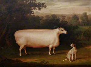 A Shearling Hog and Hound in a Landscape