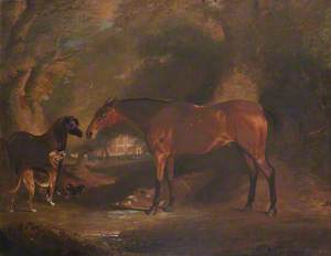 A Bay Horse, Pony, Bloodhound and Dachshund outside Felbrigg Hall