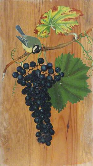 Coal Tit on a Grape Vine
