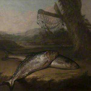 Atlantic Salmon and Allis Shad, by the River Wye (?)